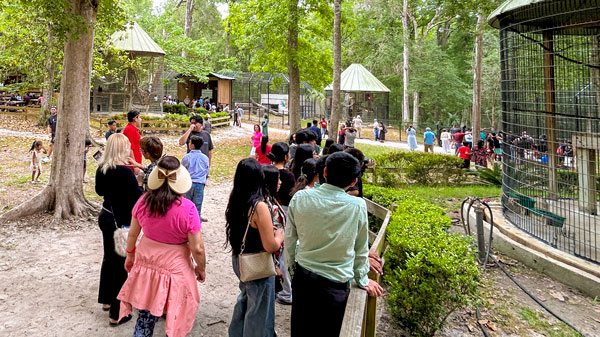 zoo-visitors_web